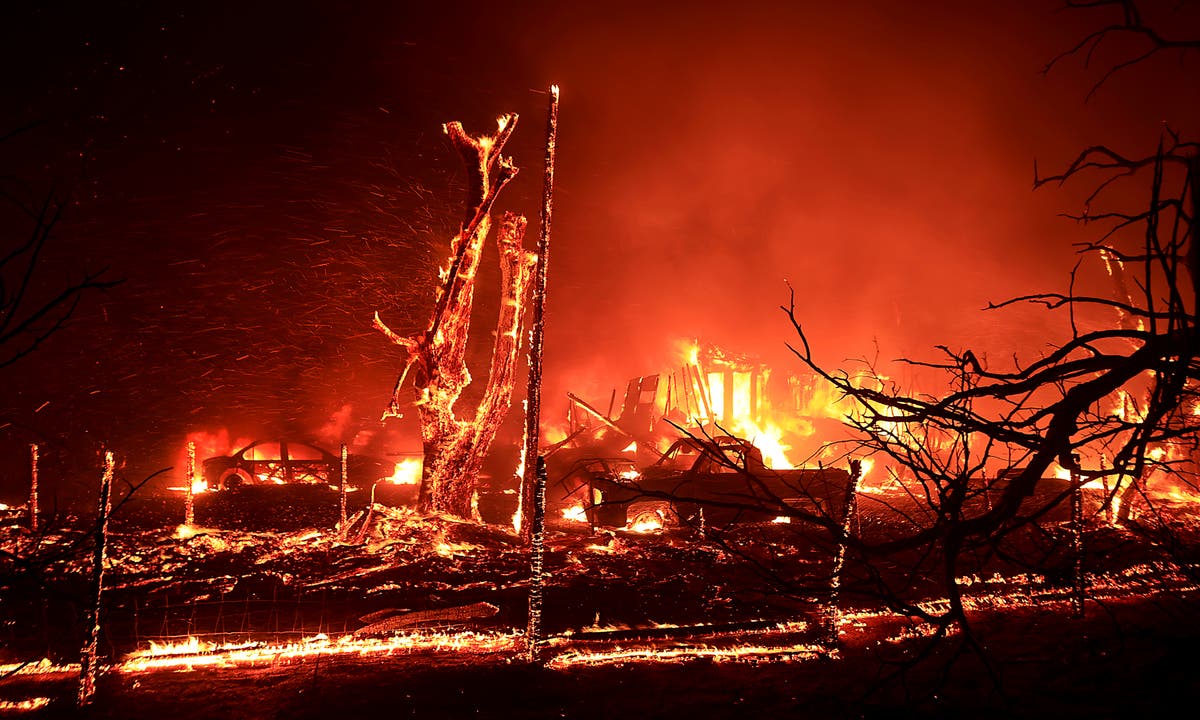 Ein Waldbrand in der Nähe von San Francisco verbrennt 14.000 Hektar Land, wodurch Truppen evakuiert und Straßen gesperrt werden müssen