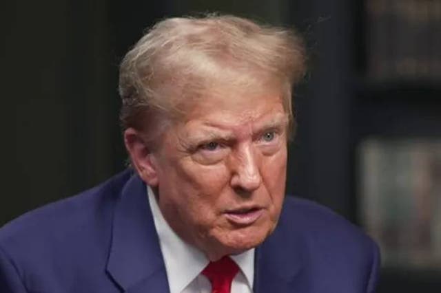 <p>Donald Trump appears on Fox & Friends Weekend on Sunday after his conviction on 34 felony counts at his hush money trial in New York </p>