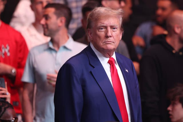 <p>Donald Trump attends a UFC bout in New Jersey on Saturday 1 June 2024 </p>