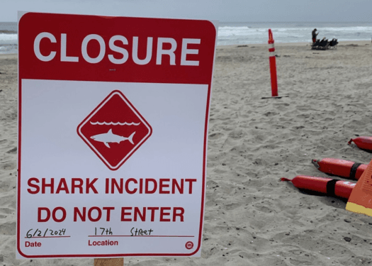 The 46-year-old man was attacked by a shark on Sunday morning while swimming with a group off Del Mar