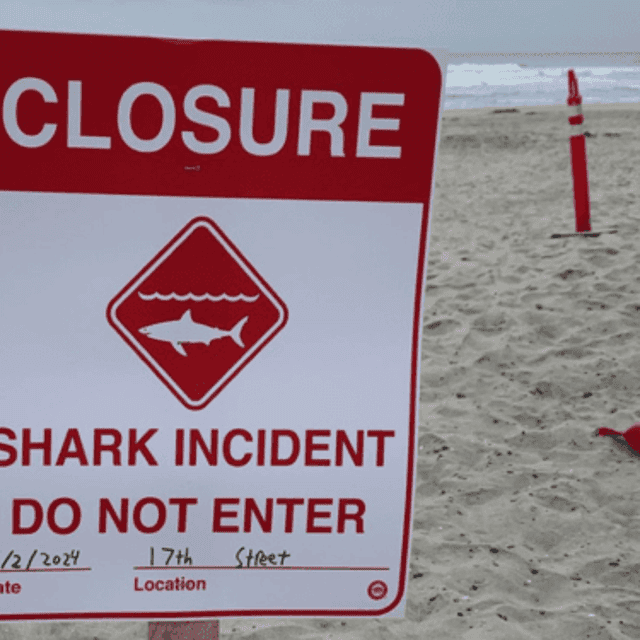 <p>The 46-year-old man was attacked by a shark on Sunday morning while swimming with a group off Del Mar </p>