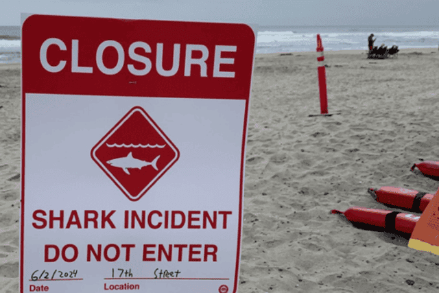 <p>The 46-year-old man was attacked by a shark on Sunday morning while swimming with a group off Del Mar </p>