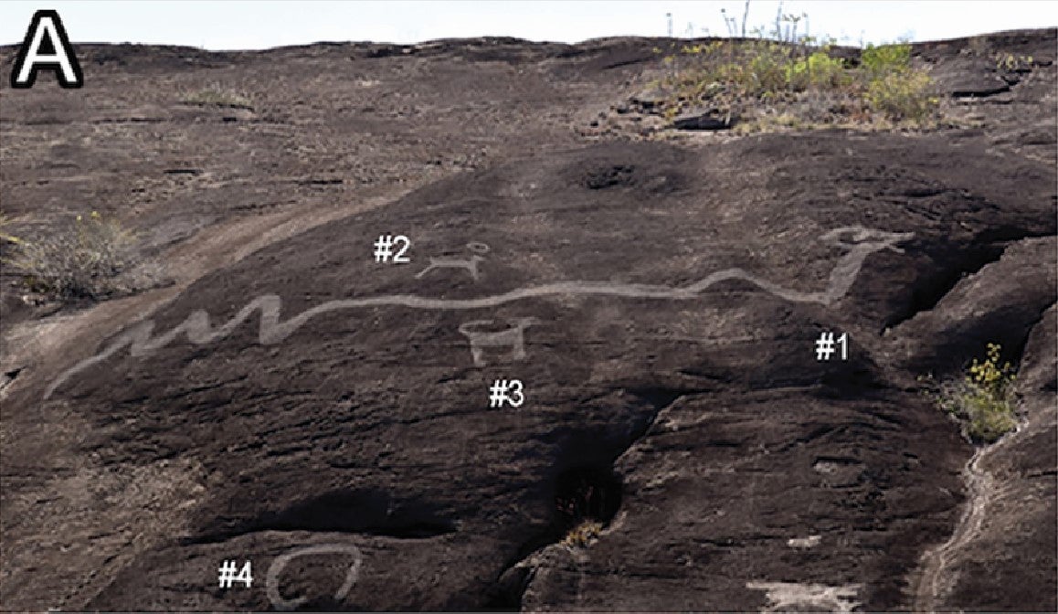 Archaeologists exploring the Orinoco valley have so far identified seven giant engraved snakes, measuring between 16 and 43 metres in length. The example in this photo is 26 metres long