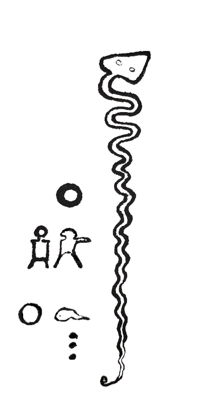 An archaeologist’s drawing of another giant snake engraving. Carved into a rockface in the Orinoco valley over a thousand years ago, the engraving – of an erect serpent – was accompanied by other motifs including two (comparatively) tiny humans