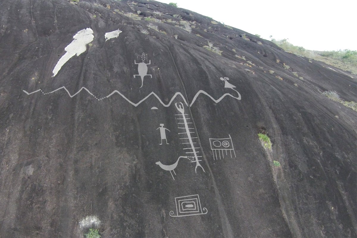 The thousand-year-old mystery of the giant snake found in drawings across the world