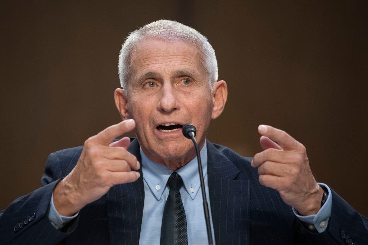 Fauci testifies publicly before House panel on COVID origins, controversies Fauci testifies publicly before House panel on COVID origins, controversies