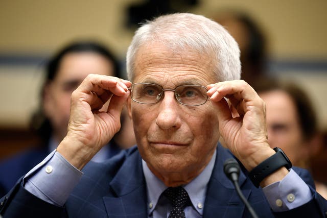 <p>Dr Anthony Fauci at a Covid hearing in Congress on Monday </p>