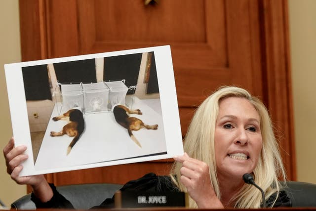 Rep. Marjorie Taylor Greene, R-Ga., left, holds up a photo as she speaks during a House Select Subcommittee on the Coronavirus pandemic with Dr. Anthony Fauci, the former Director of the National Institute of Allergy and Infectious Diseases, at Capitol Hill, Monday, June 3, 2024, in Washington