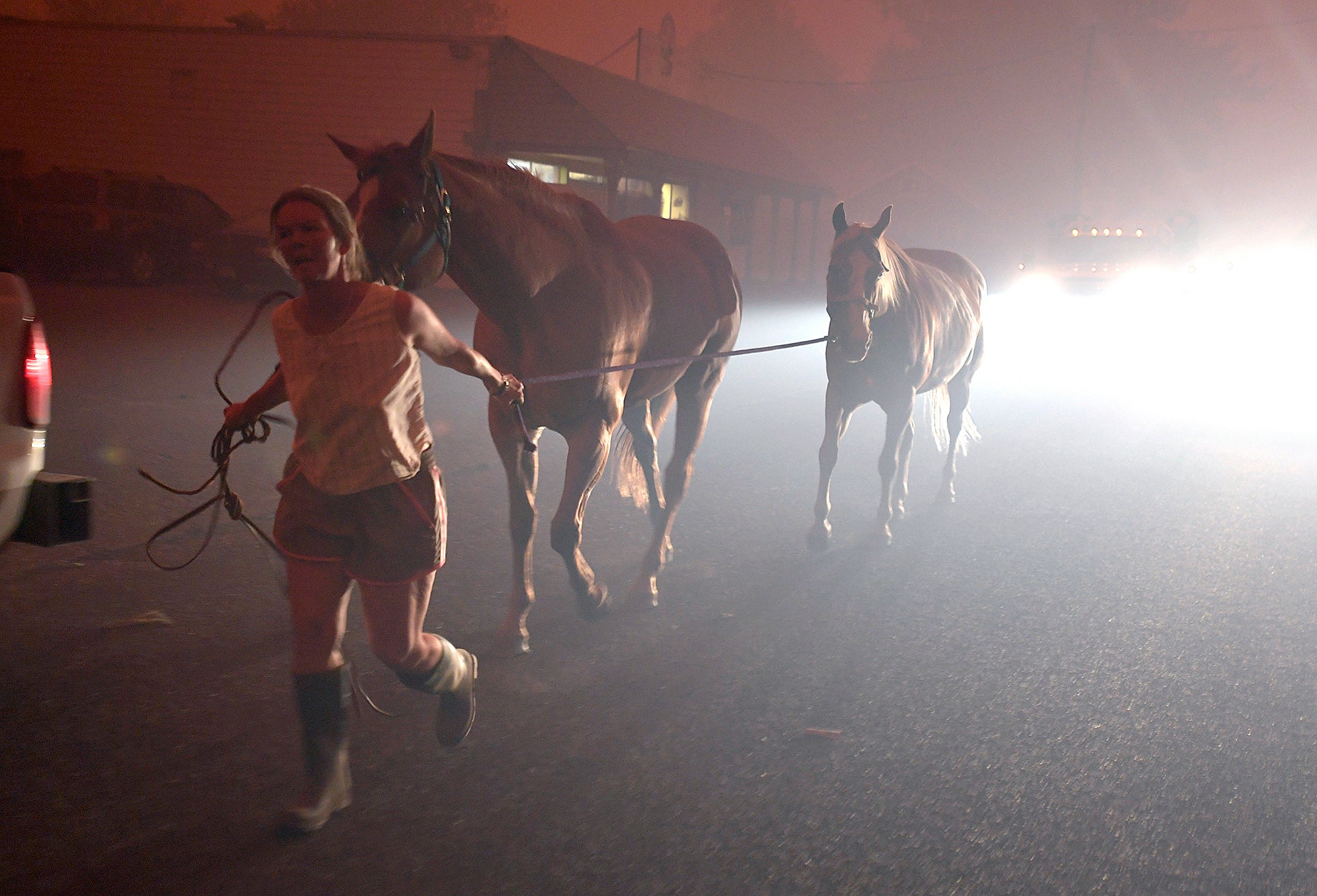 Oregon Wildfire Settlement
