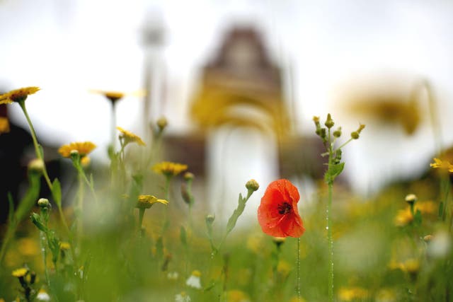 The contribution of Commonwealth soldiers must be remembered and commemorated, a letter in the lead-up to the 80th anniversary of D-Day has said (Yui Mok/PA)