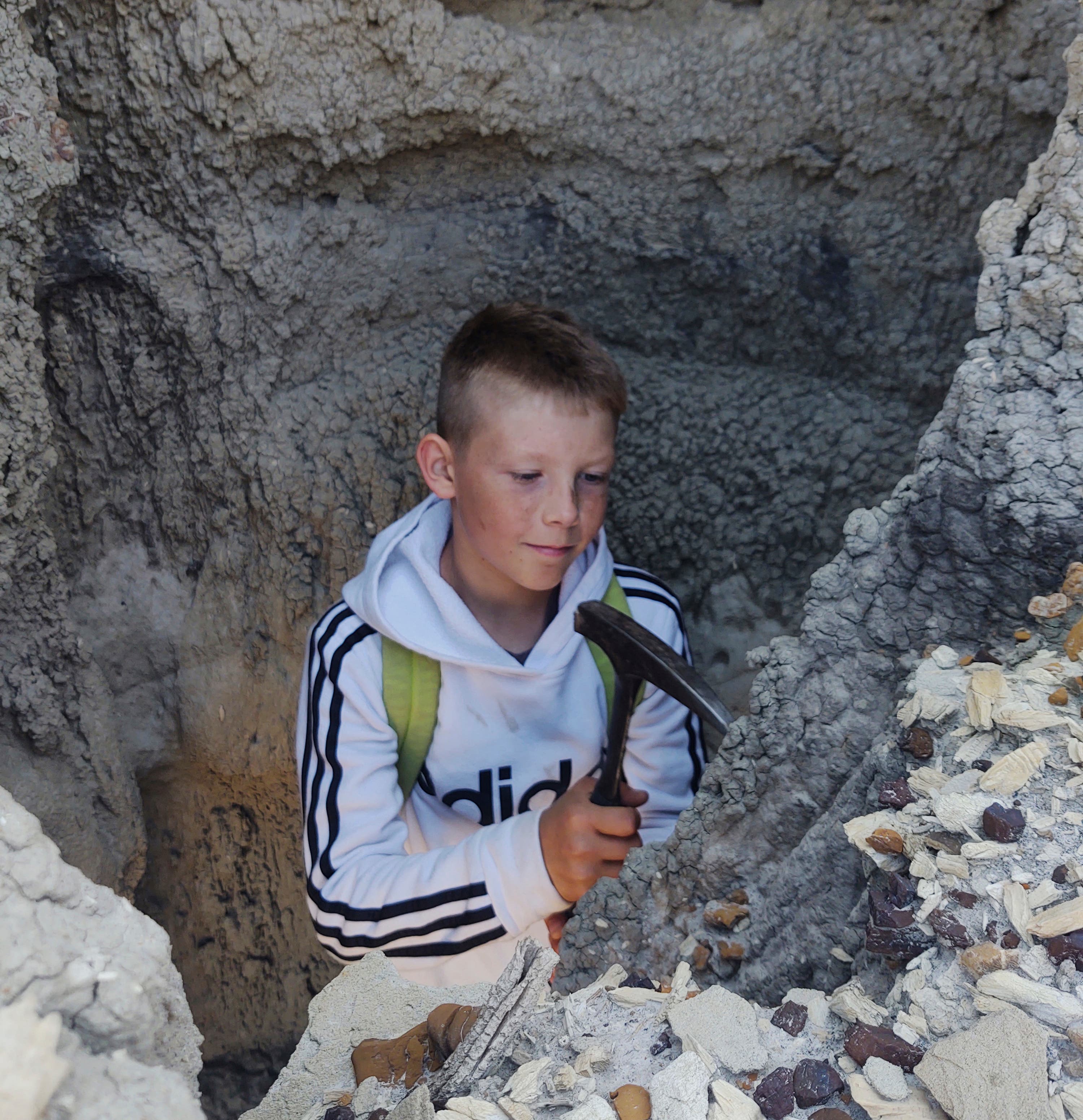 Three boys found a T. rex fossil in North Dakota. Now a Denver museum works to fully reveal it - Vimarsana News