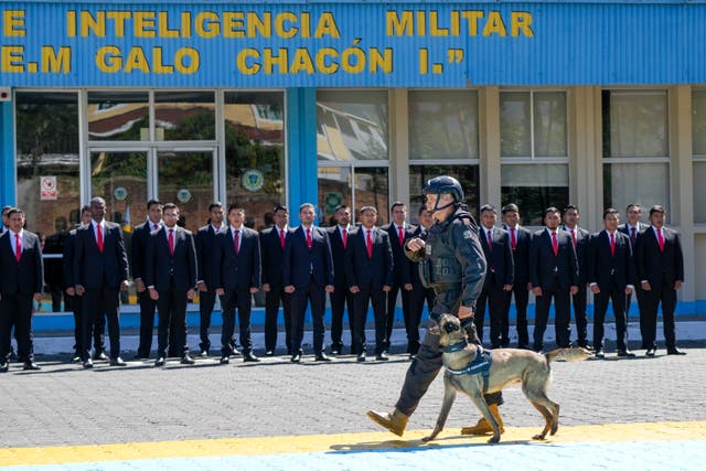 Ecuador Army Dog Awards