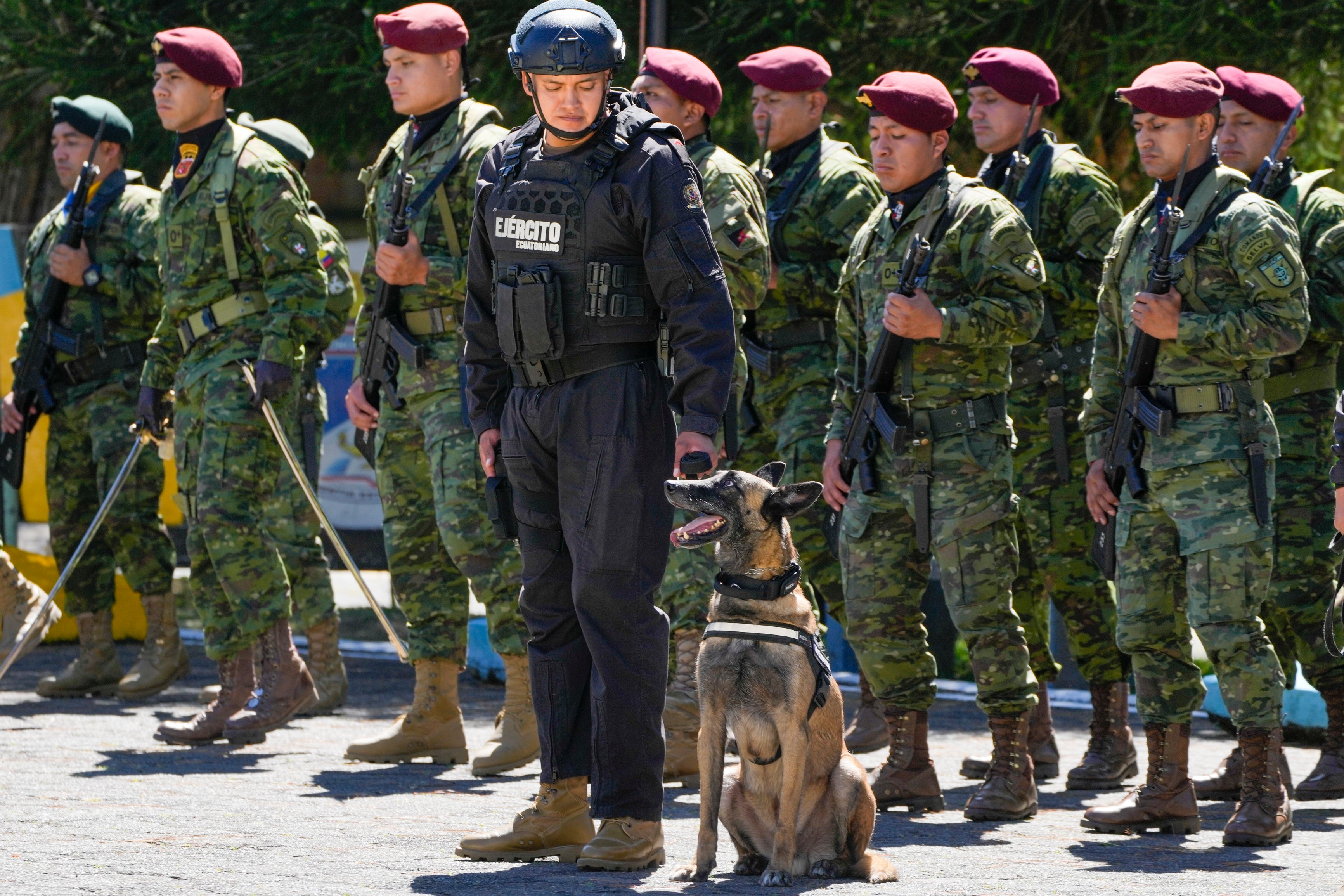 Ecuador Army Dog Awards