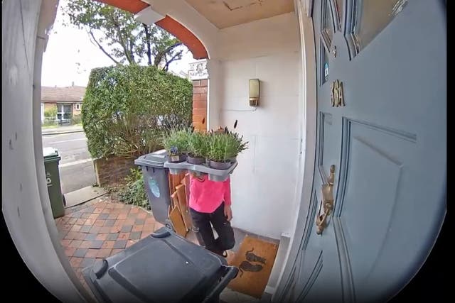 <p>A door camera spotted the woman carrying the plants </p>