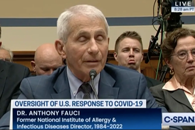 <p>A man was seen making faces behind Fauci during Monday’s Covid hearing </p>