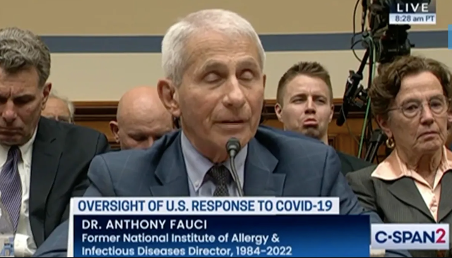 <p>A man was seen making faces behind Fauci during Monday’s Covid hearing </p>