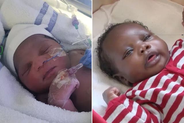 <p>Baby Roman (left) and Baby Harry are the brother and sister of Baby Elsa, who was found in a park in East Ham in January, it has emerged </p>
