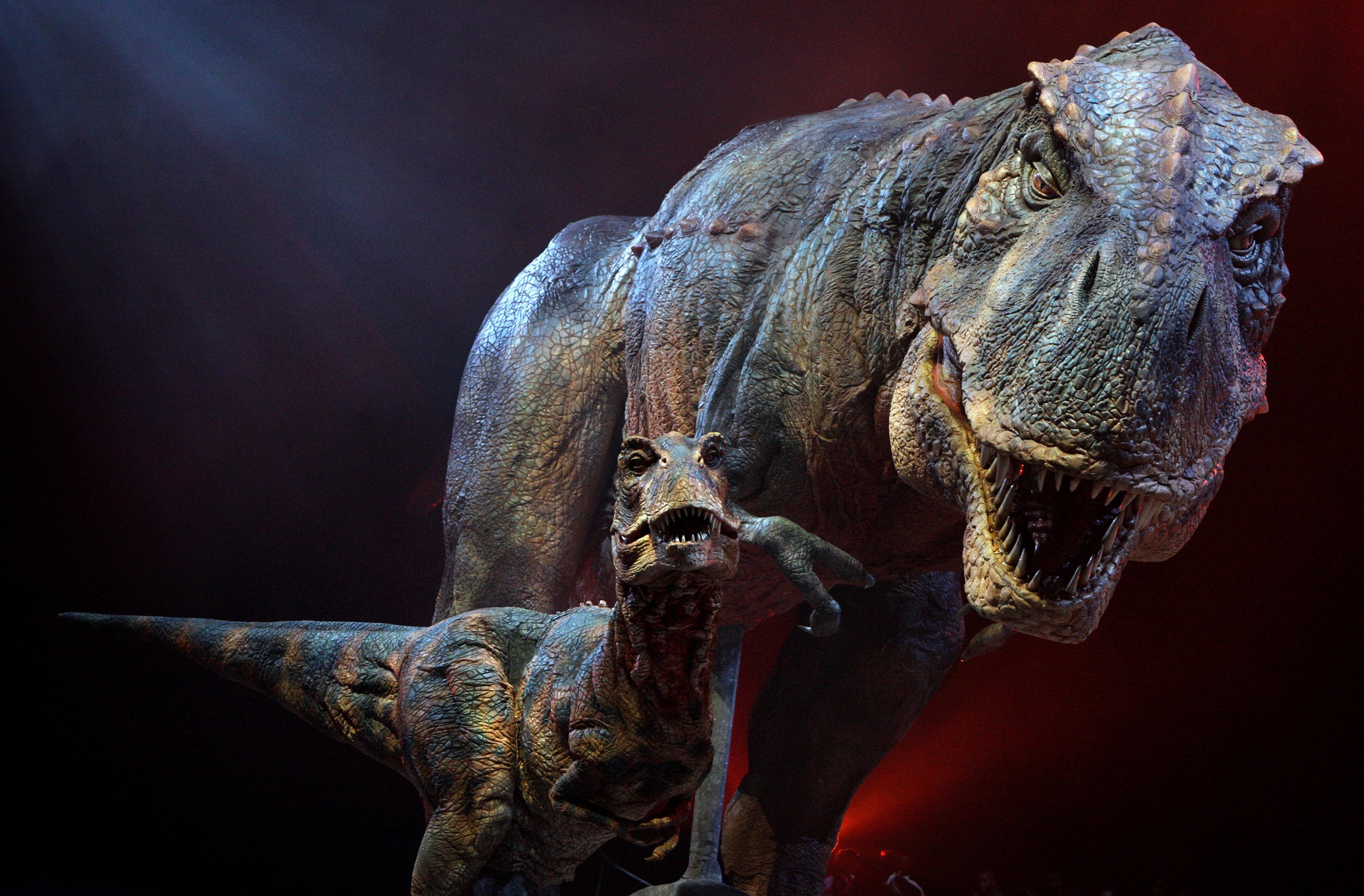 An adult and baby Tyrannosaurs Rex robotic dinosaurs perform in the O2 arena as part of the ‘Walking With Dinosaurs’ tour, based on the TV show, in 2009
