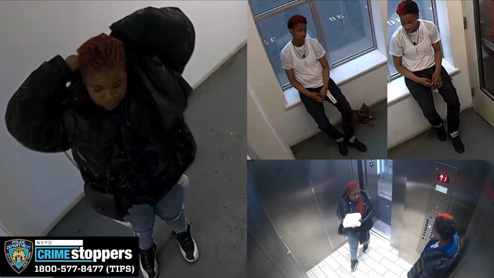 Police released photos of the suspects wanted for grand larceny