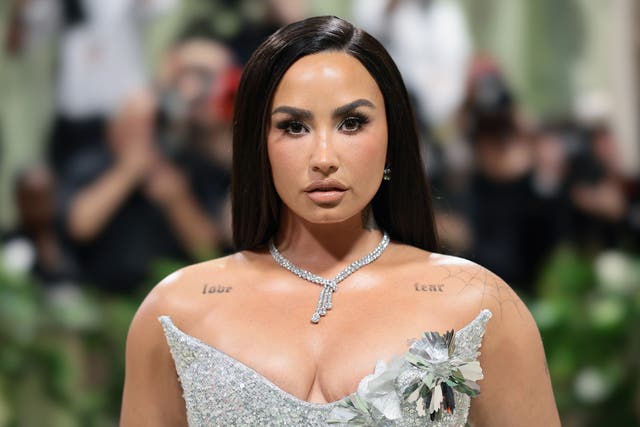 <p>Demi Lovato has opened up about her inpatient mental health treatment</p>