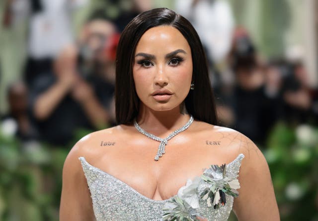 <p>Demi Lovato has opened up about her inpatient mental health treatment</p>
