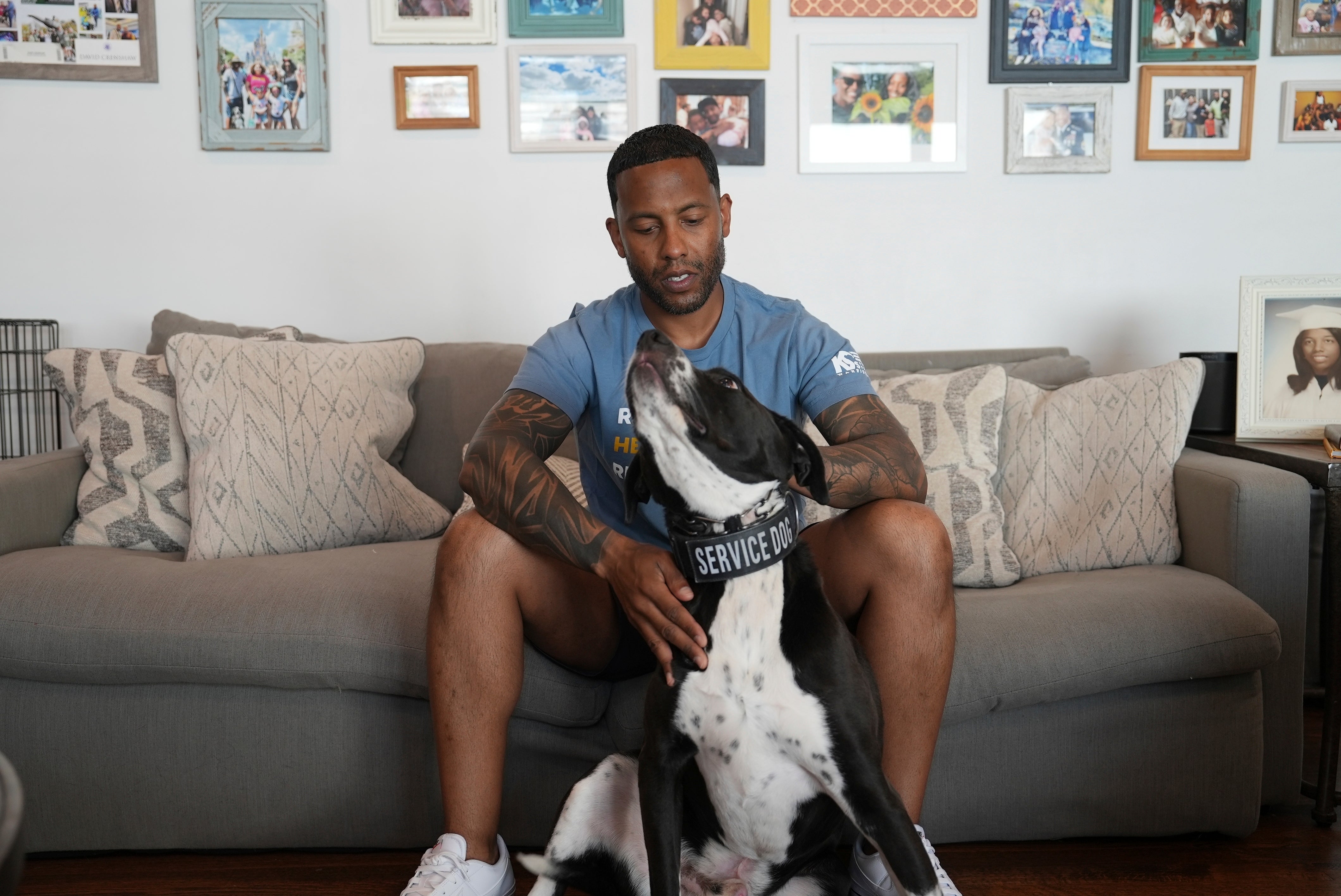 Service Dogs-Veterans PTSD