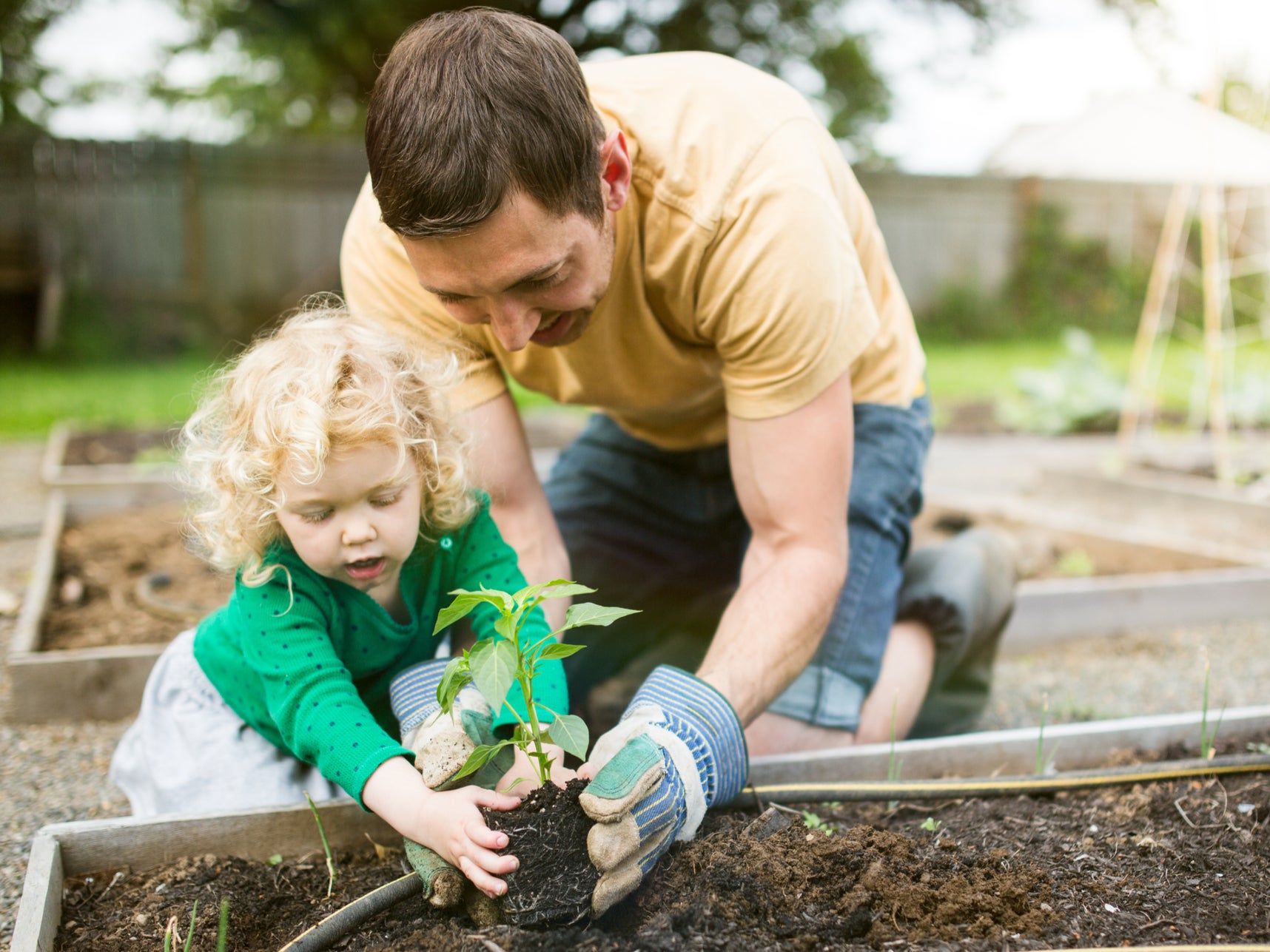 Gardening Can Improve Your Mental And Physical Health, Research Finds ...