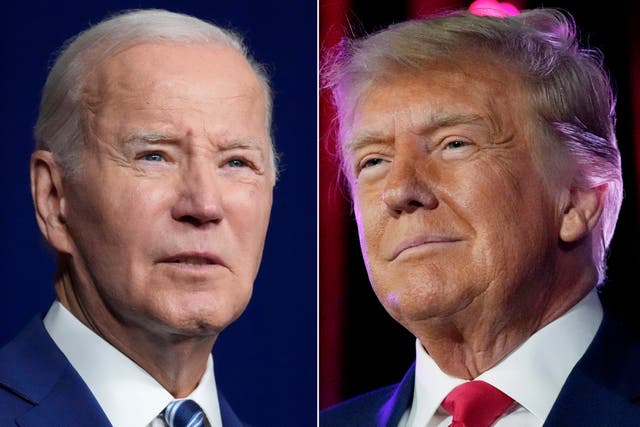 <p>The Biden campaign is hoping for a Donald Trump meltdown in the first televised debate between the two candidates </p>