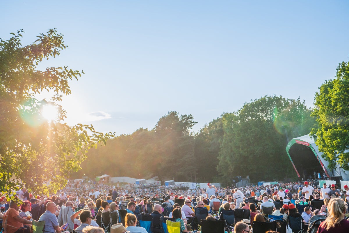 Forest Live: The music festival with nature at its heart | The Independent