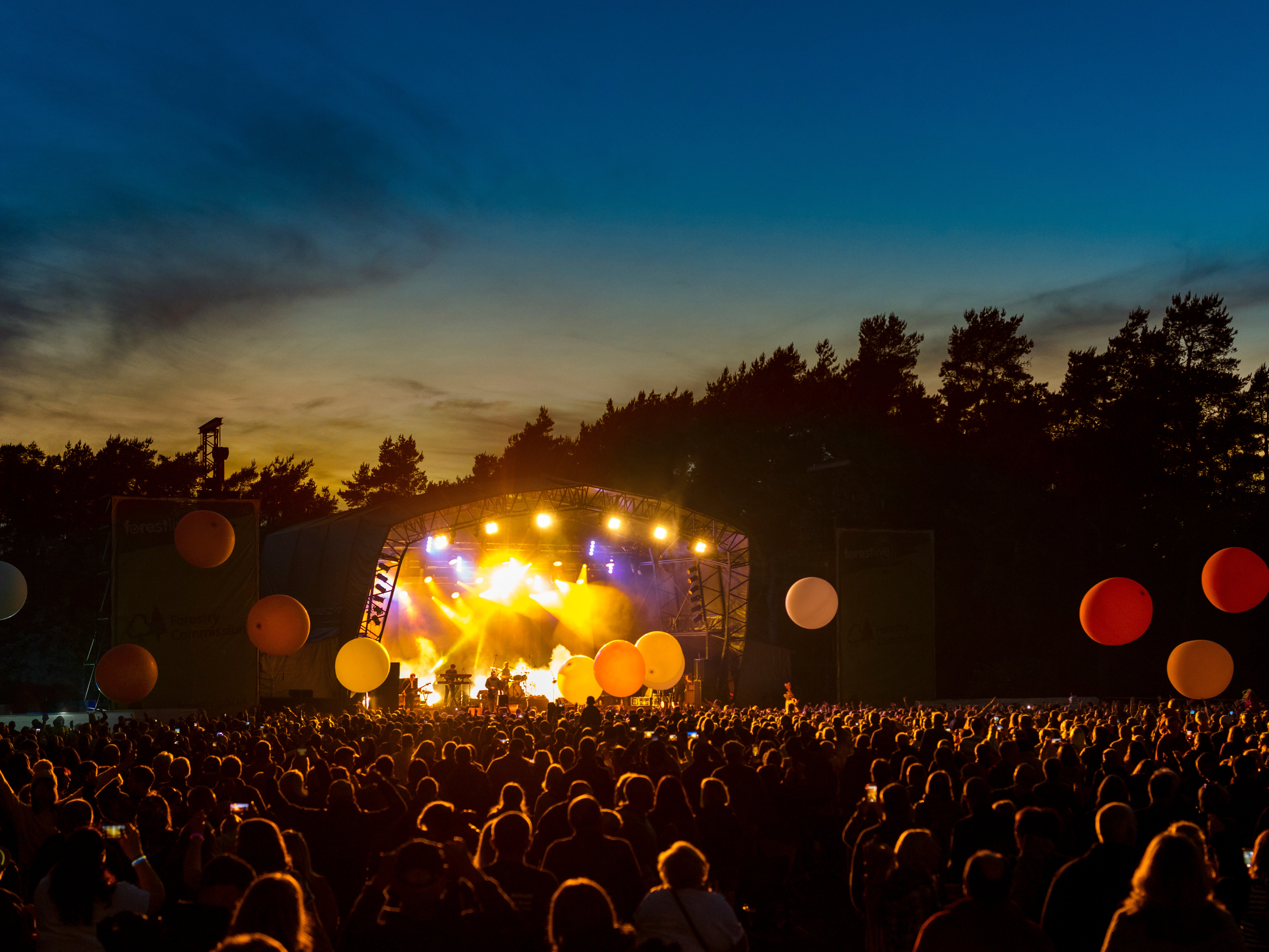 Noite no festival Forest Live