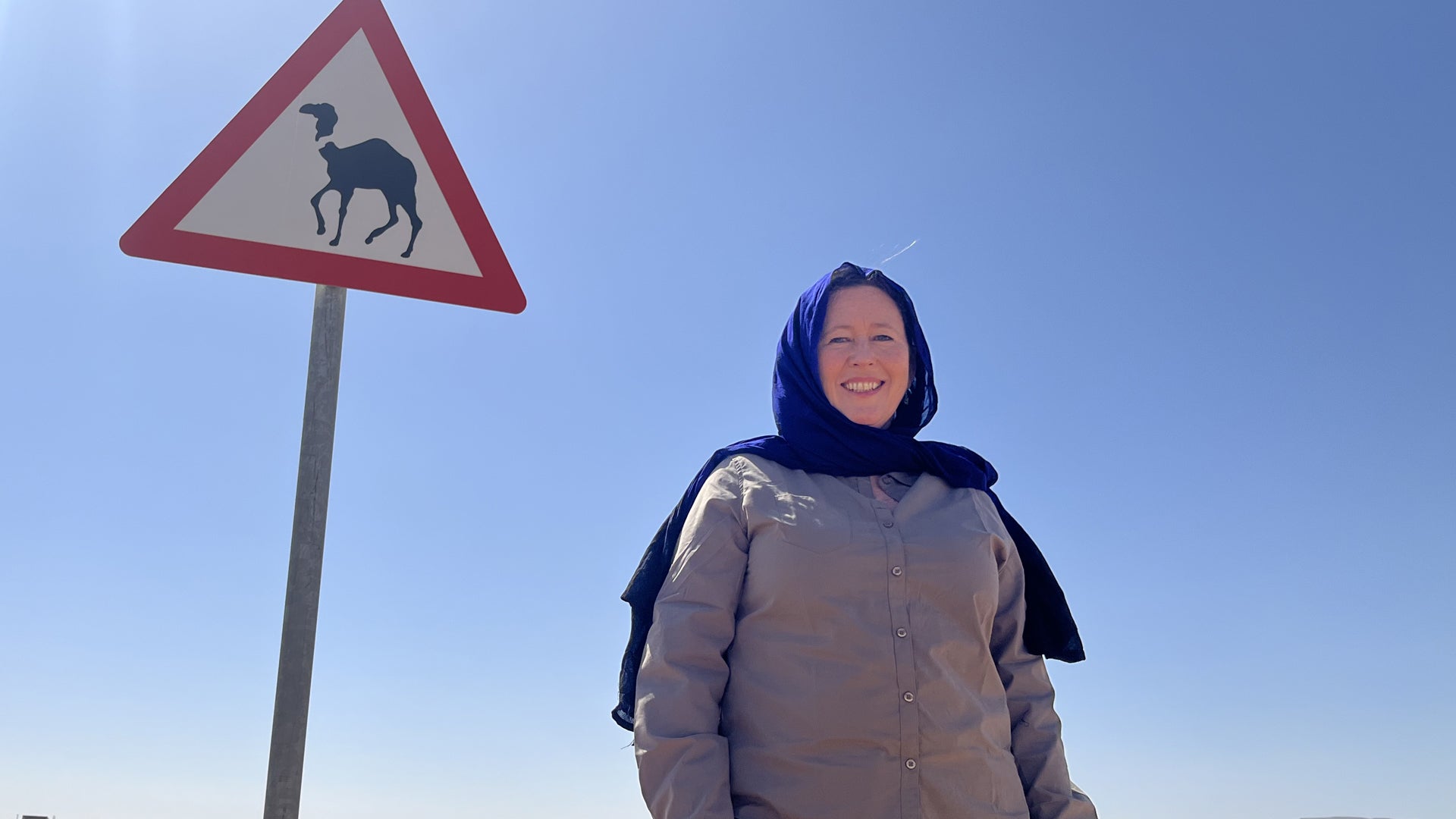Camel crossing: on a 3000-km round trip, our adventurer got a good experience driving in Saudi