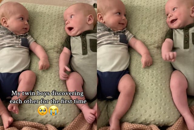 <p>Mother films twin babies noticing each other for the first time</p>