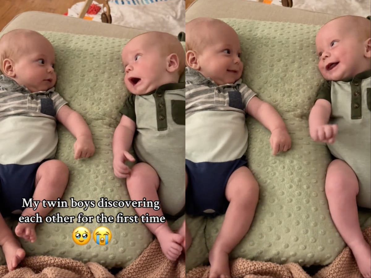 Mother films twin babies noticing each other for the first time | The  Independent