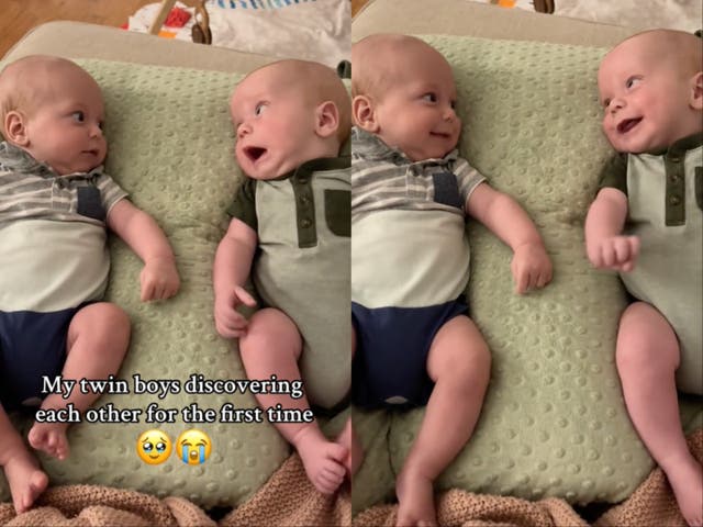 <p>Mother films twin babies noticing each other for the first time</p>