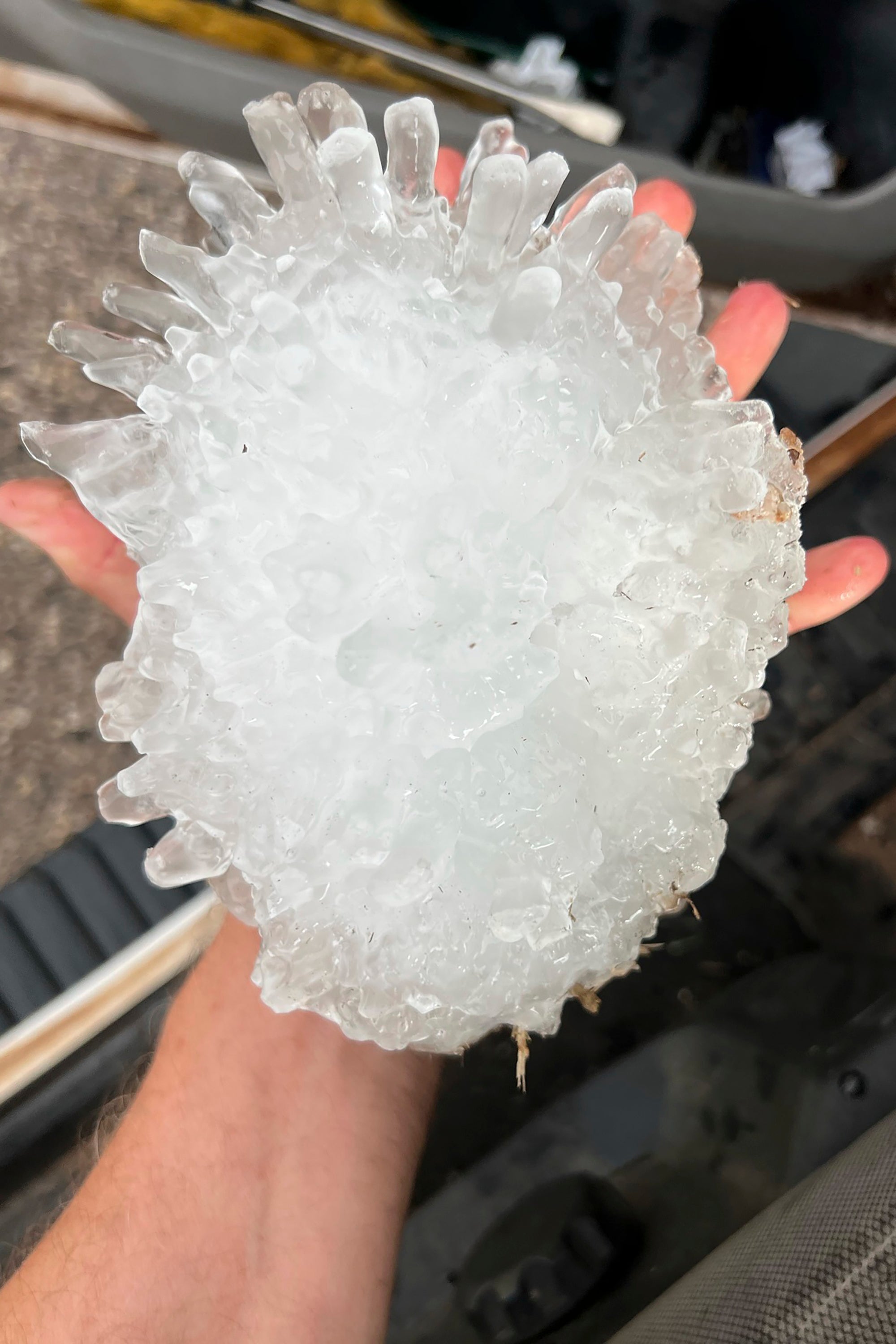 Record hail stone the size of a pineapple found in Texas | The Independent