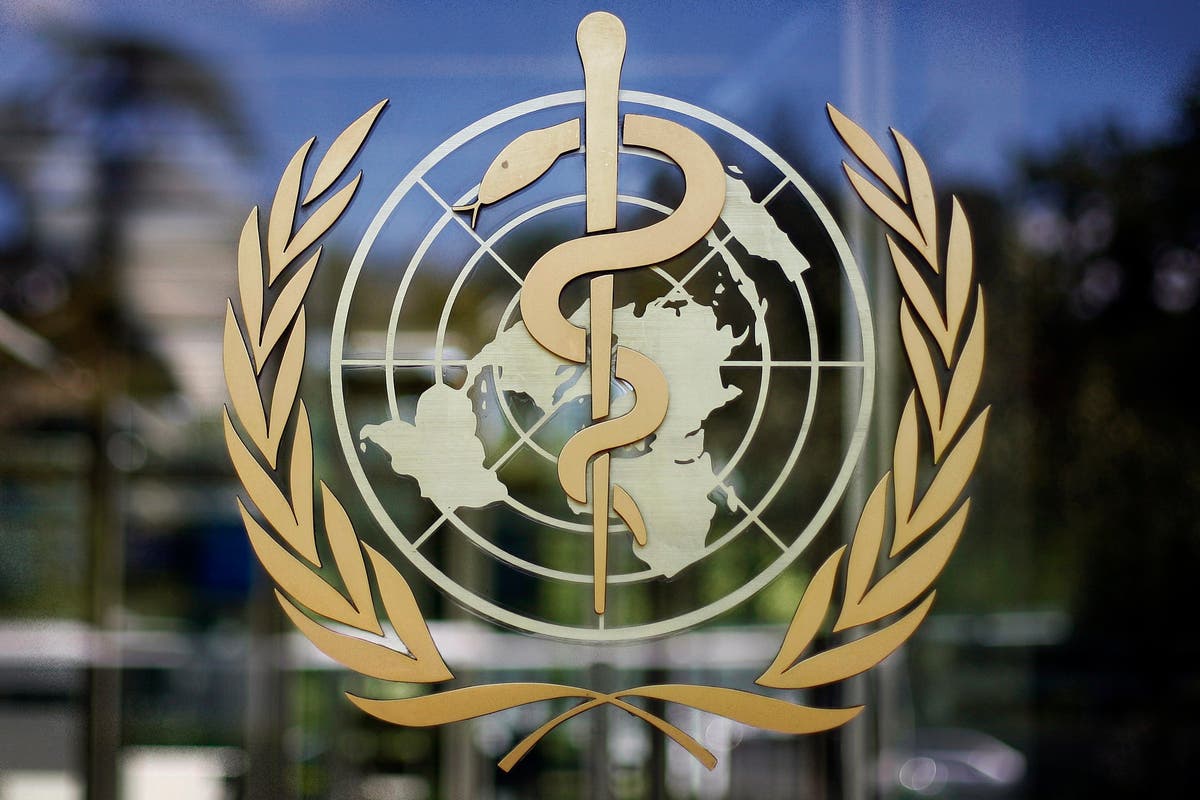 WHO confirms rare case of human contracting bird flu in India