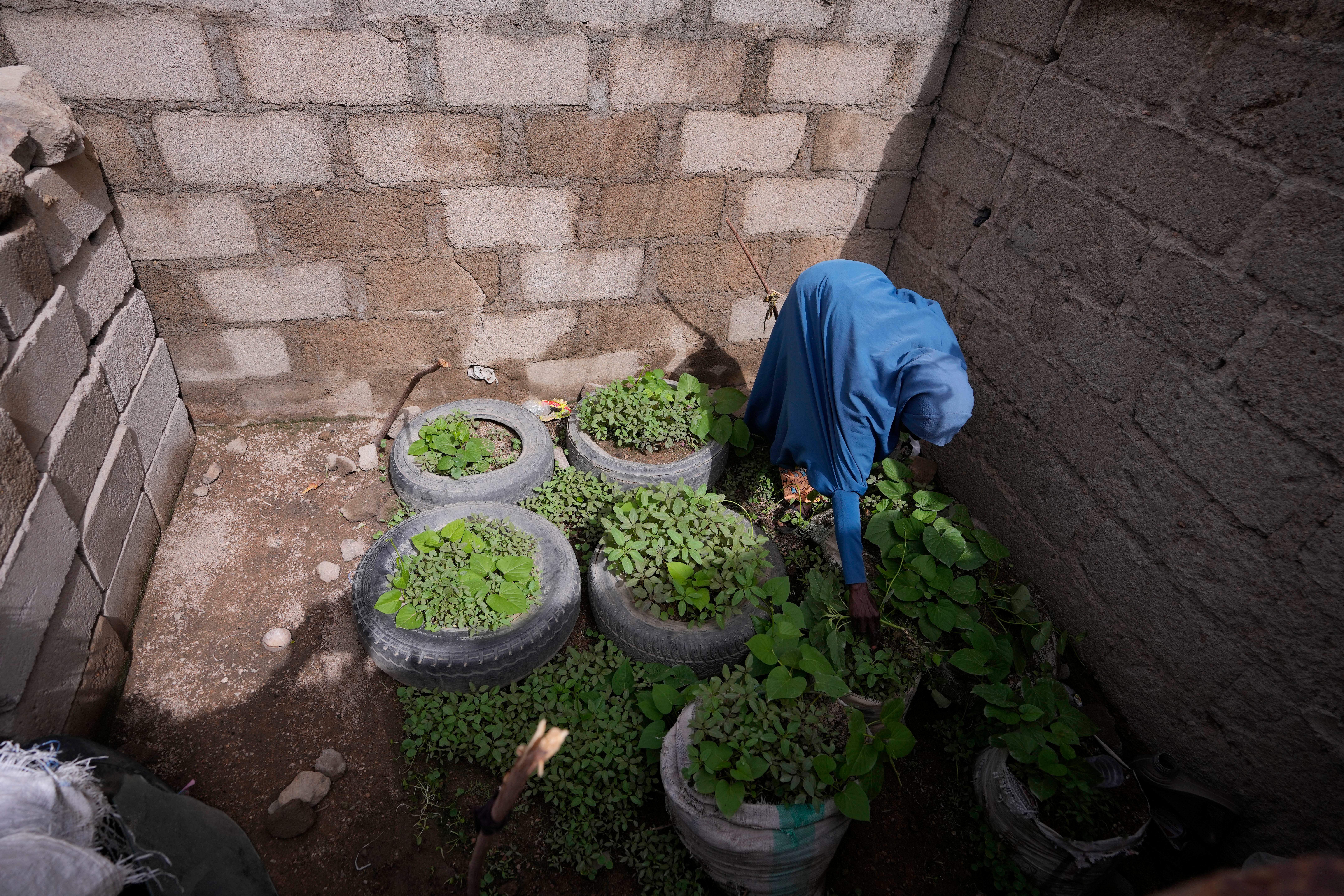 Africa Malnutrition Children