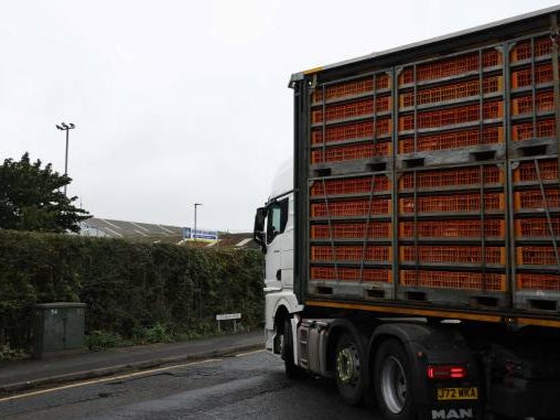A lorry loaded with poultry in Hereford, where intensive farming is blamed for pollution to the Wye