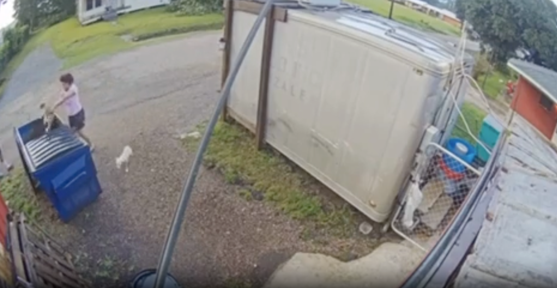 Footage was captured on Sebastian’s West End Seafood’s camera in Opelousas, Louisiana, showing a woman tossing the puppies in the dumpster