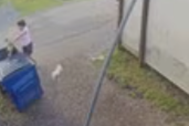 Woman throws puppy in dumpster