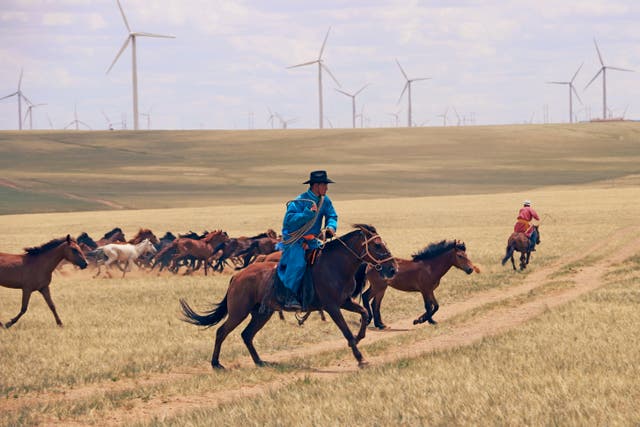 Archaeologists have traced the origin of the horse and why humans ride ...