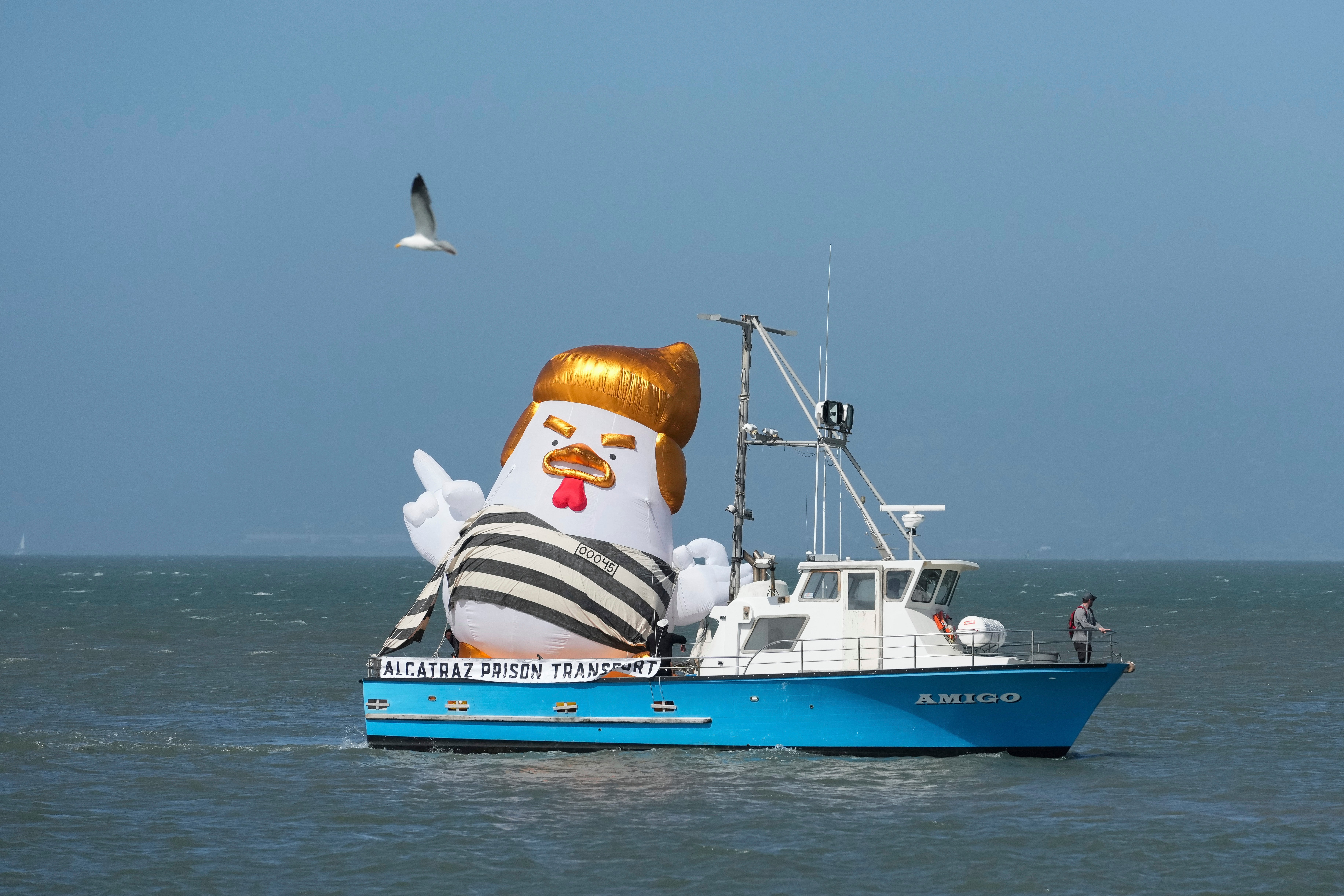 The inflatable Trump Chicken is seen aboard a boat in the San Francisco Bay ahead of a fundraising visit by former President Donald Trump on June 6, 2024