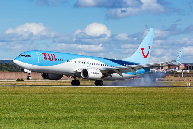 <p>File photo: A TUI Boeing 737-800 plane takes off from an airport </p>