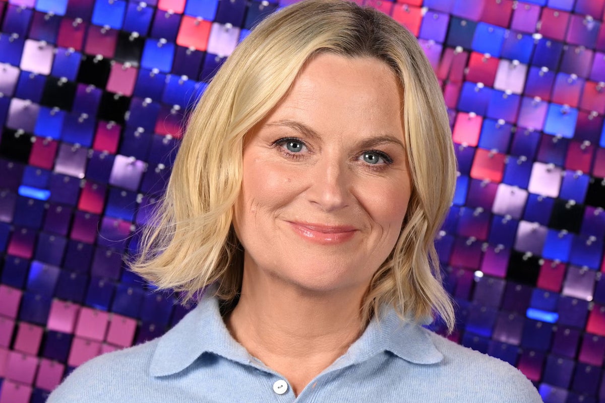 Amy Poehler: ‘You don’t need to have a dysfunctional work environment to be funny’