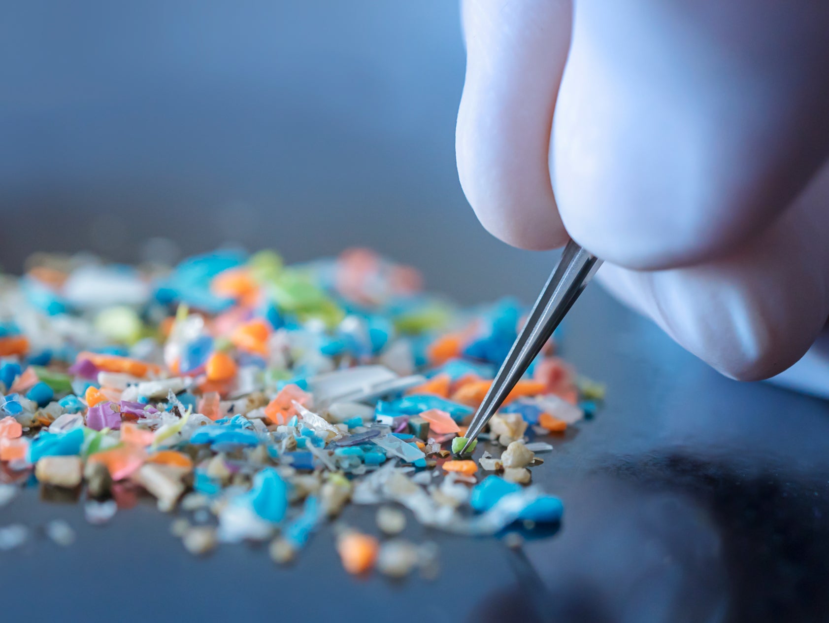 Macro shot of micro plastics ( Getty Images )