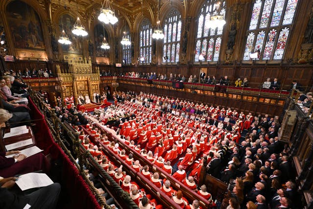 State Opening of Parliament in the House of Lords (Leon Neal/PA)