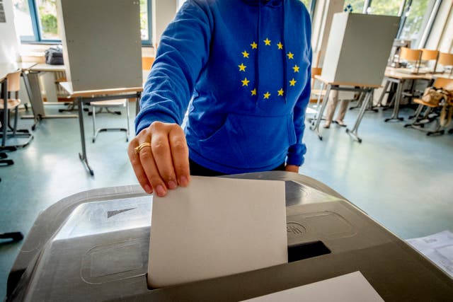 <p>The European parliamentary elections finished over the weekend </p>