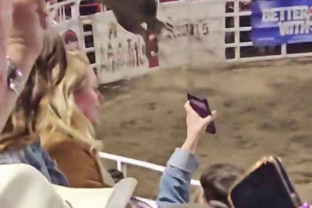 <p>is image taken from video shows a rodeo bull hopping a fence during the 84th Sisters Rodeo on Saturday, June 8, 2024, in Sisters, Ore. The bull ran through a concession area into a parking lot, injuring at least three people before wranglers caught up with it, officials said</p>