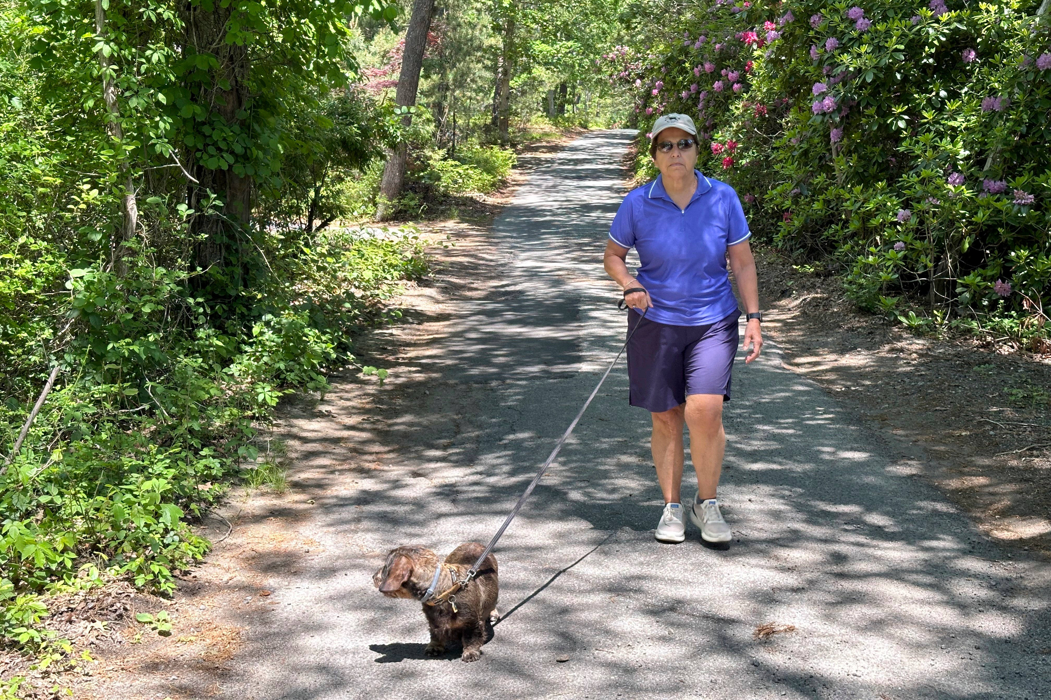 Sally Rizzo, a medical marijuana user, walks her dog Ginger on June 3, 2024, in Vineyard Haven, Massachusetts