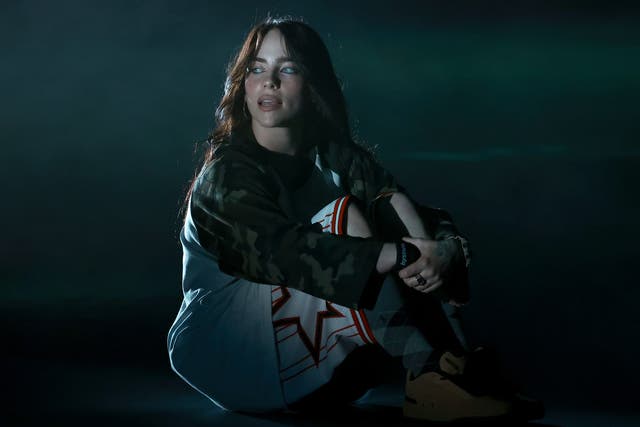 <p>Billie Eilish says she realised she had no real friends when she looked around her at her 20th birthday party</p>